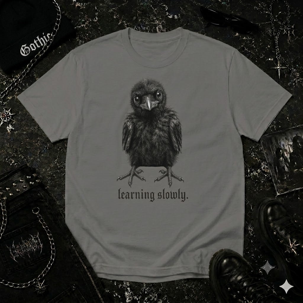 Learning slowly