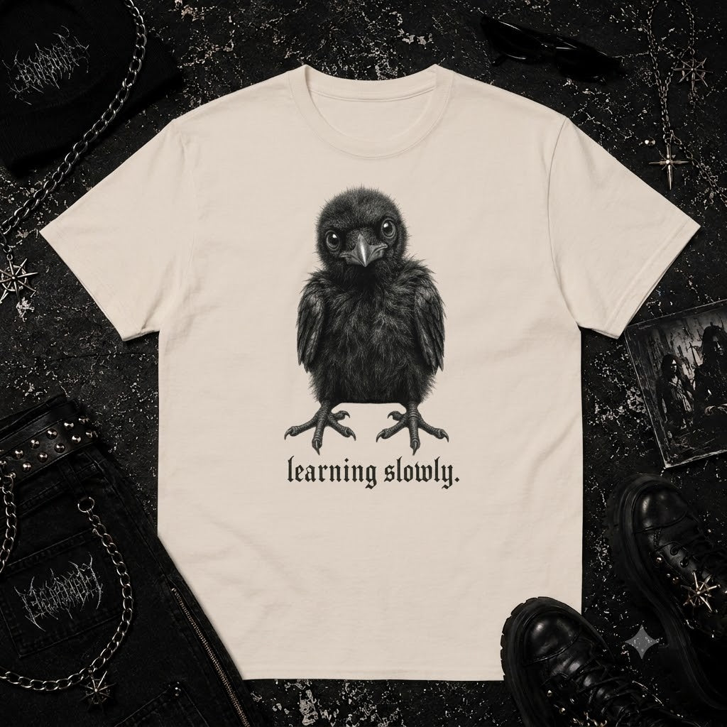 Learning slowly